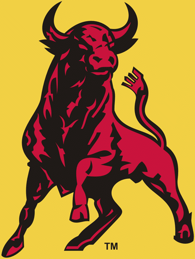 Belleville Bulls 1981-2008 alternate logo iron on transfers for T-shirts